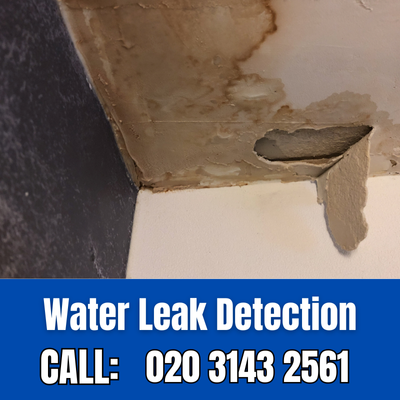 Expert Water Leak Detection Services in Barnes Cray | Barnes Cray Leak Detection